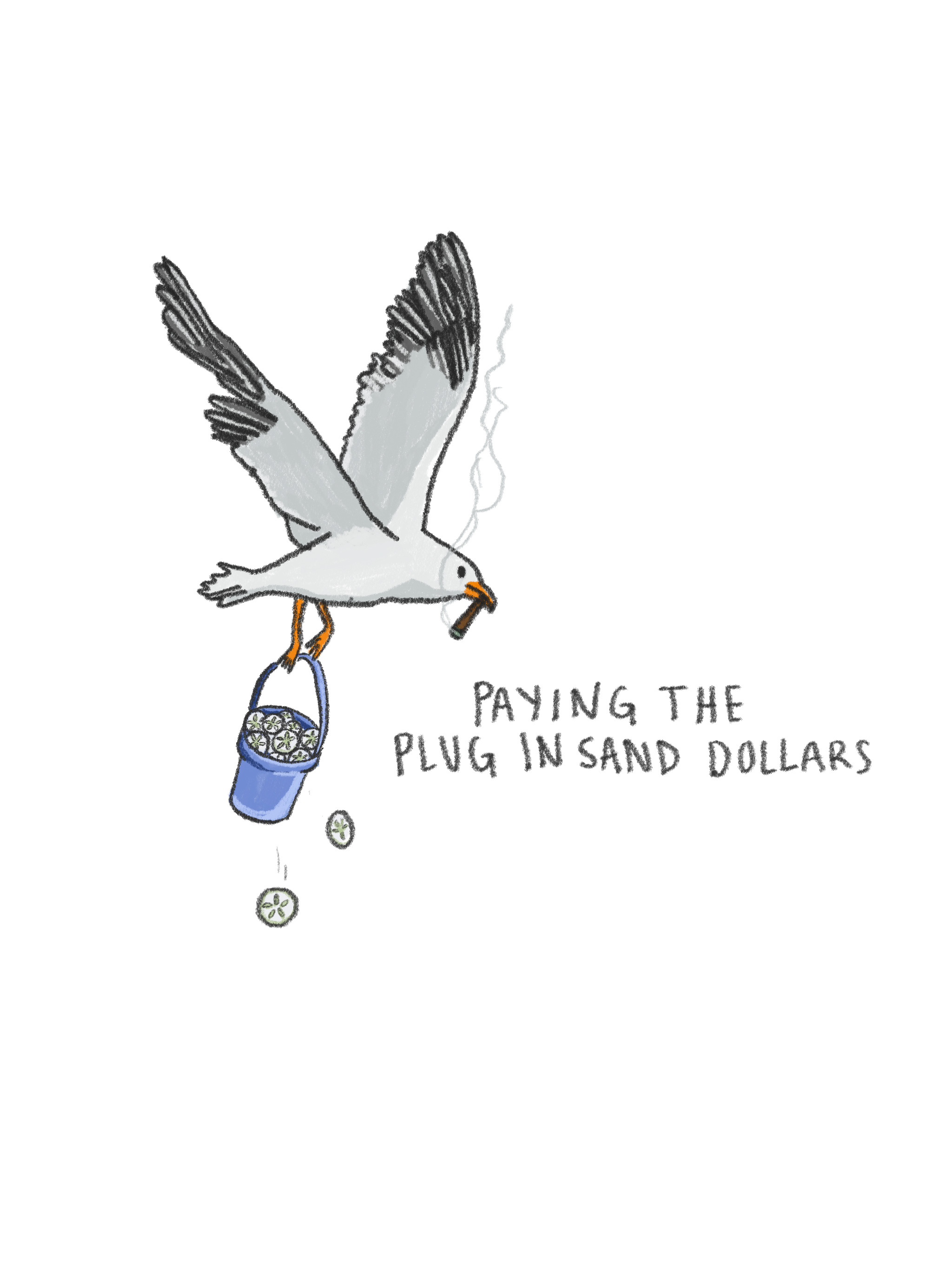 Seagull Plug