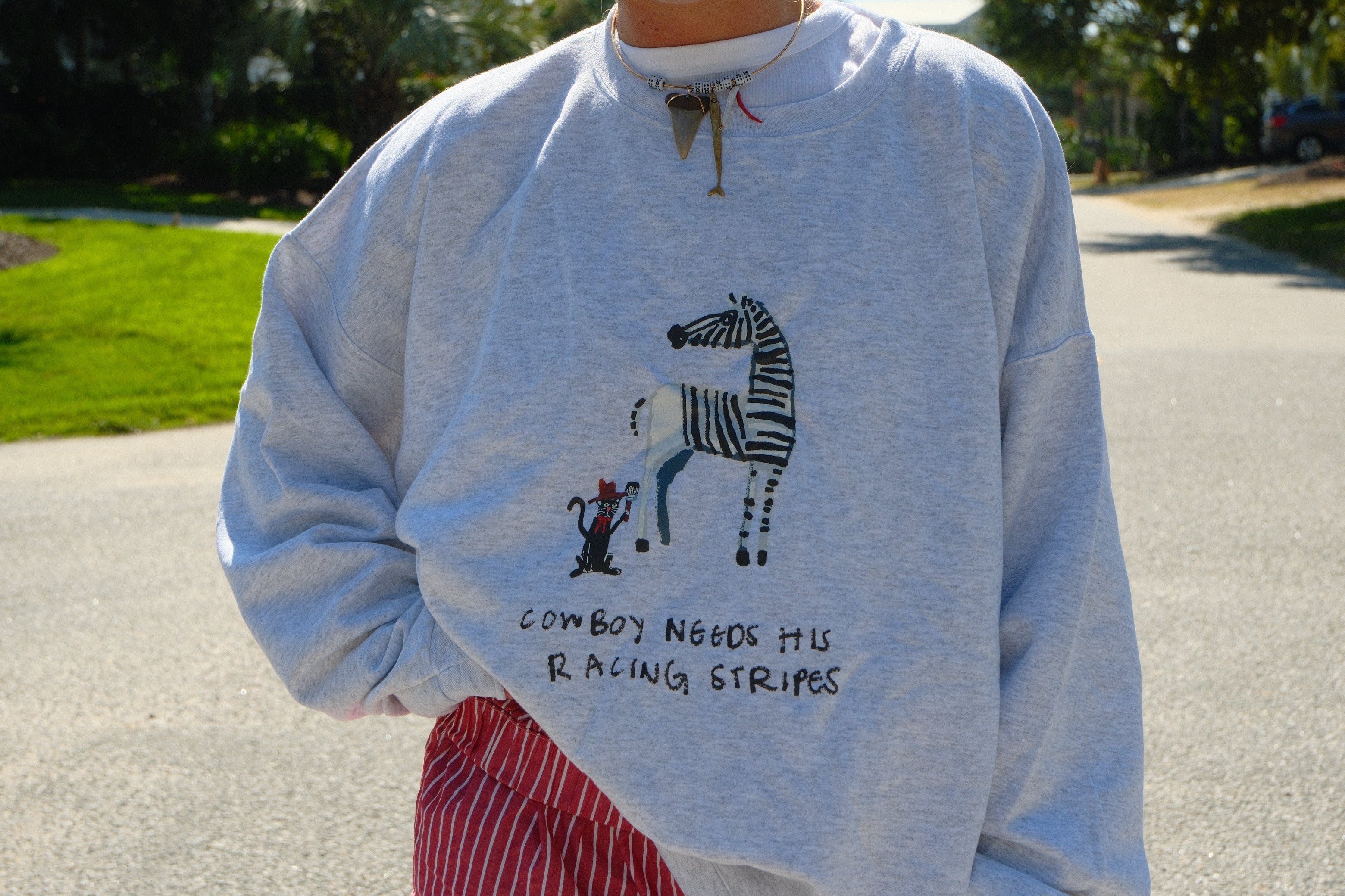 Racing Stripes